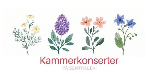 Lunsjkonsert i Vinterhagen: Rachmaninov